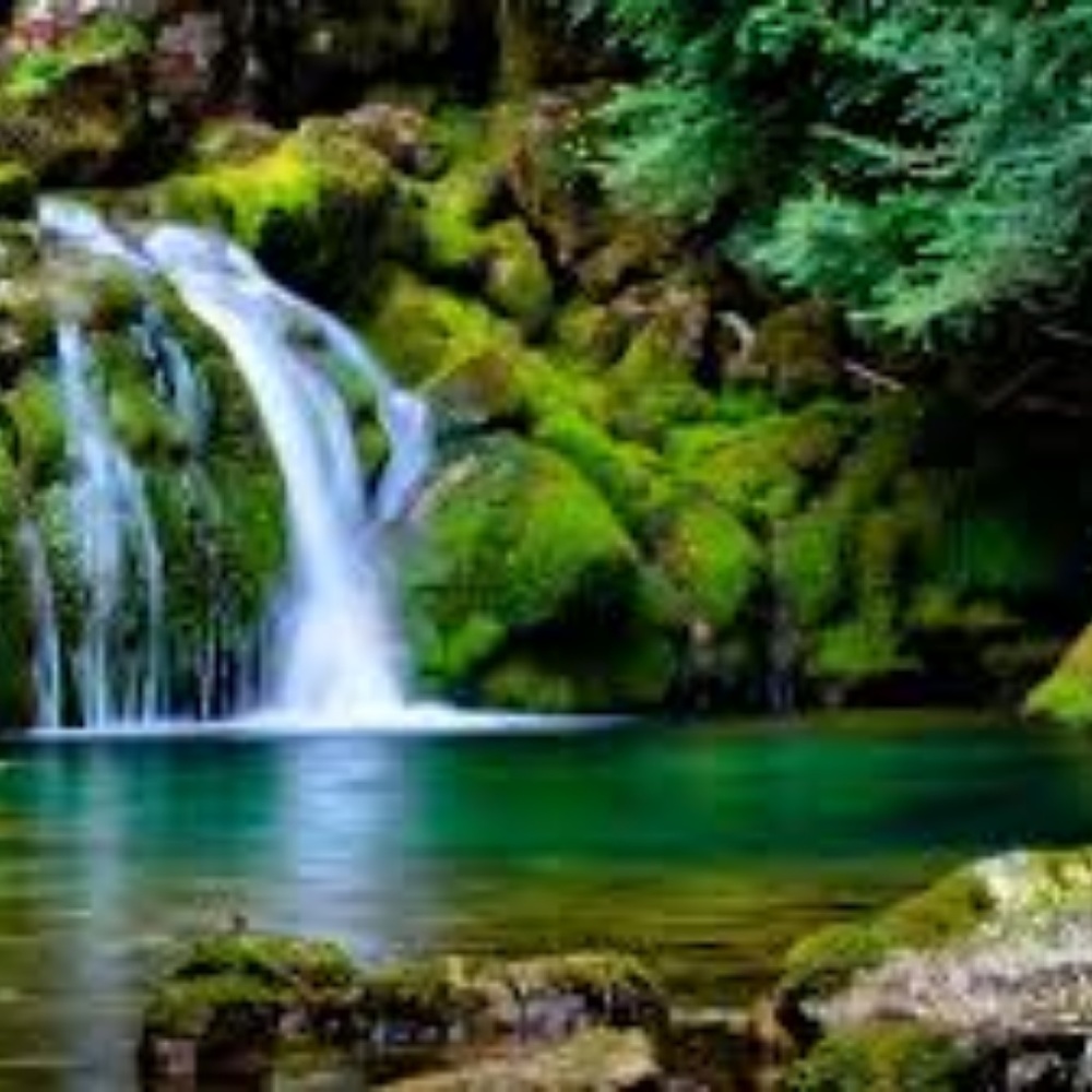 Meet your Posher, Gardenia